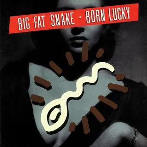 Pochette de Born Lucky de Big Fat Snake