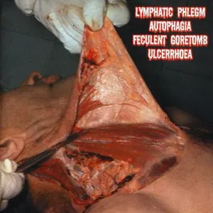 Pochette de 4-Way Split CD de Lymphatic Phlegm