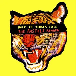Pochette de Hold Yr Terror Close (The Pastels Rework) de The Go! Team