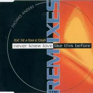 Pochette Never Knew Love Like This Before - The Remixes