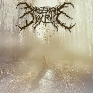 Pochette de Faces of Age de Breeze of the Dying