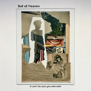Pochette de It Can't Be Just You Who Eats de Bull of Heaven
