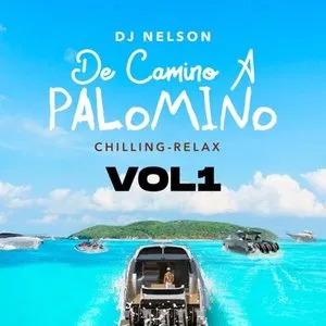 Pochette de De camino a Palomino, vol. 1 de DJ Nelson
