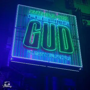 Pochette de FEELING GUD de SLANDER - NGHTMRE