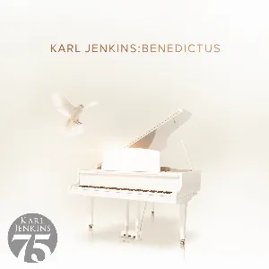 Pochette de XII. Benedictus de Karl Jenkins