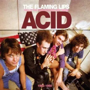 Pochette Finally the Punk Rockers Are Taking Acid: 1983-1988