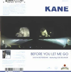 Pochette Before You Let Me Go (live in Rotterdam) / Rain Down on Me (Tiësto remix)