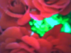 Pochette de sympathie de Ueda Takayasu