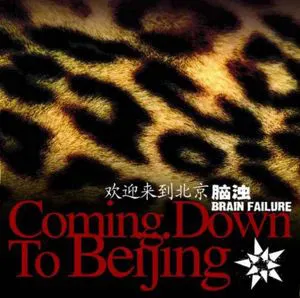 Pochette Coming Down to Beijing
