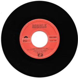 Pochette de Une fleur ça pleure de Nicole