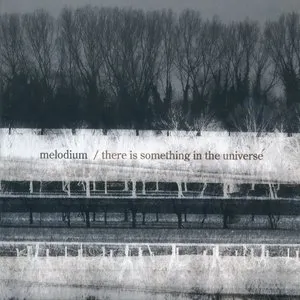 Pochette de There Is Something in the Universe de melodium