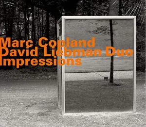 Pochette de Impressions de Marc Copland