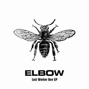 Pochette Lost Worker Bee EP