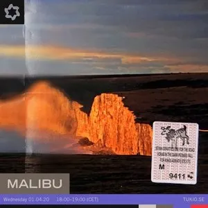 Pochette de TUKIO 01/04/2020 de Malibu