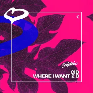 Pochette de Where I Want 2 B (extended mix) de CID