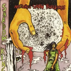 Pochette de Shadow Kingdom de Natural Snow Buildings