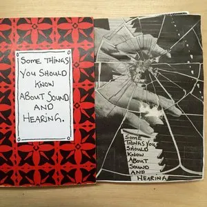 Pochette de Some Things You Should Know About Sound and Hearing de Jim Guthrie
