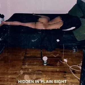 Pochette de Hidden in Plain Sight de Boldy James