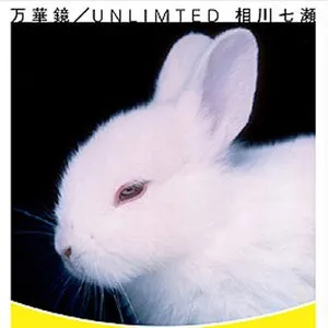 Pochette de 万華鏡 / UNLIMITED de Nanase Aikawa