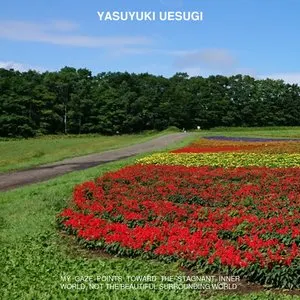 Pochette de My Gaze Points Toward the Stagnant Inner World, Not the Beautiful Surrounding World de Yasuyuki Uesugi