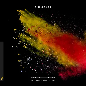Pochette de The Walk / Bird Feeder de Tinlicker