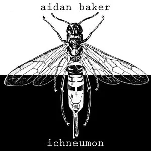 Pochette de Ichneumon de Aidan Baker
