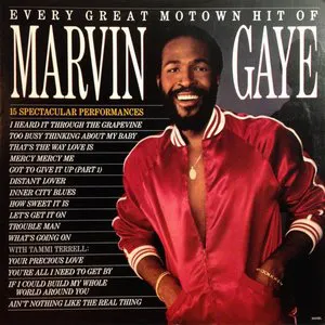 Pochette Every Great Motown Hit of Marvin Gaye