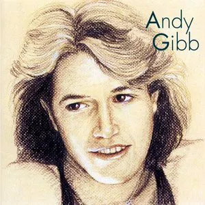 Pochette Andy Gibb