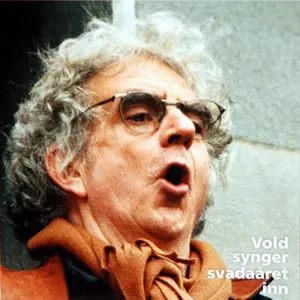 Pochette de Vold synger svadaåret inn de Jan Erik Vold