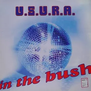 Pochette de In the Bush de U.S.U.R.A.