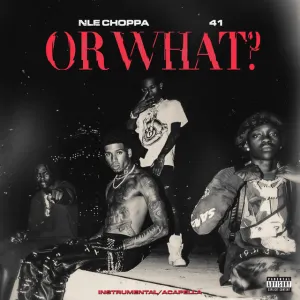 Pochette de Or What (instrumental / acapella) de NLE Choppa