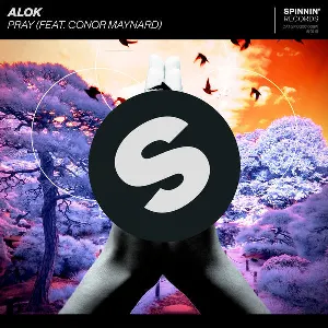 Pochette de Pray de Alok