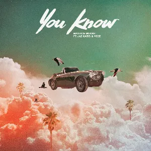 Pochette de you know. de YCEE