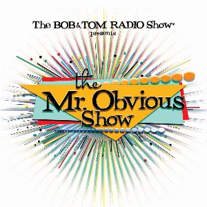Pochette The Mr. Obvious Show