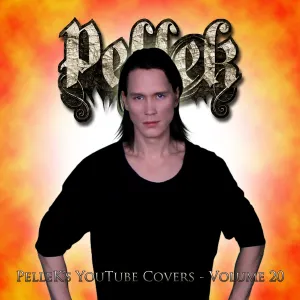 Pochette de Covers Vol. 20 de PelleK