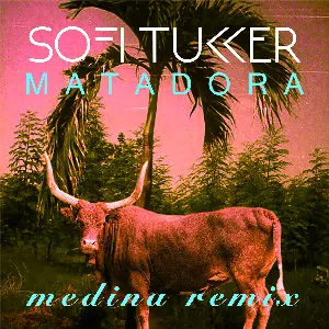 Pochette de Matadora (Medina remix) de Sofi Tukker