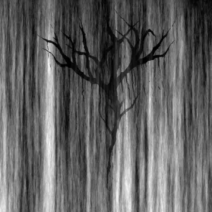 Pochette de Demo Session - V - Karnaleïos de Yhdarl