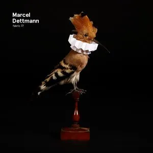 Pochette de Fabric 77: Marcel Dettmann de Marcel Dettmann