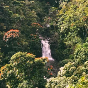 Pochette de Islndrm de invention_