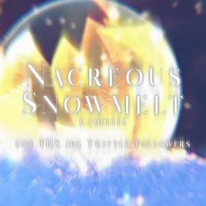 Pochette de Nacreous Snowmelt de Camellia