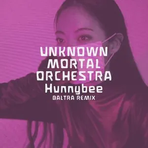 Pochette de Hunnybee (Baltra Remix) de Unknown Mortal Orchestra