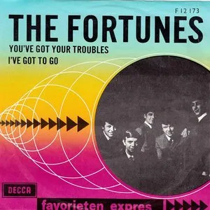 Pochette de You’ve Got Your Troubles de The Fortunes