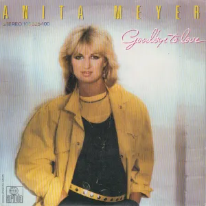 Pochette de Goodbye to Love de Anita Meyer