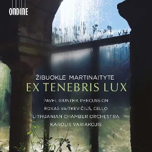 Pochette de Ex Tenebris Lux de Lietuvos kamerinis orkestras