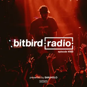 Pochette de San Holo Presents: bitbird radio #088 de San Holo