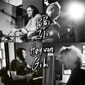 Pochette de Hayvan Gibi de Baba Zula