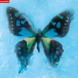 Pochette de アゲハ蝶 de PornoGraffitti