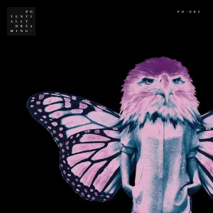 Pochette de Spiral de Estiva