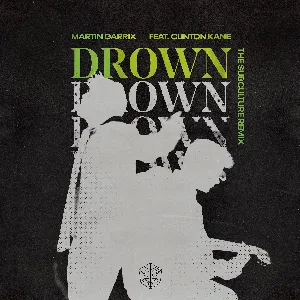 Pochette Drown (The Subculture remix)