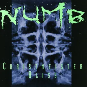Pochette de Christmeister Bliss de Numb